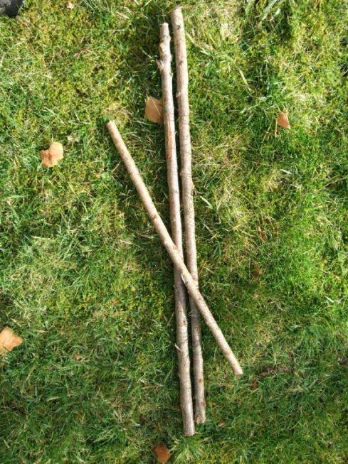three sticks